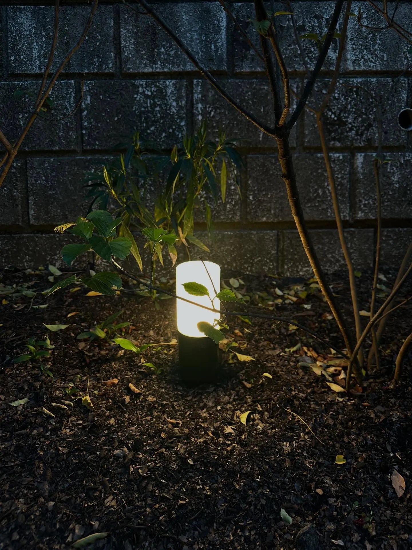 神奈川県横浜市の戸建住宅の庭園照明計画 